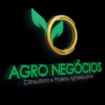 agro_negocios_consultoria_web